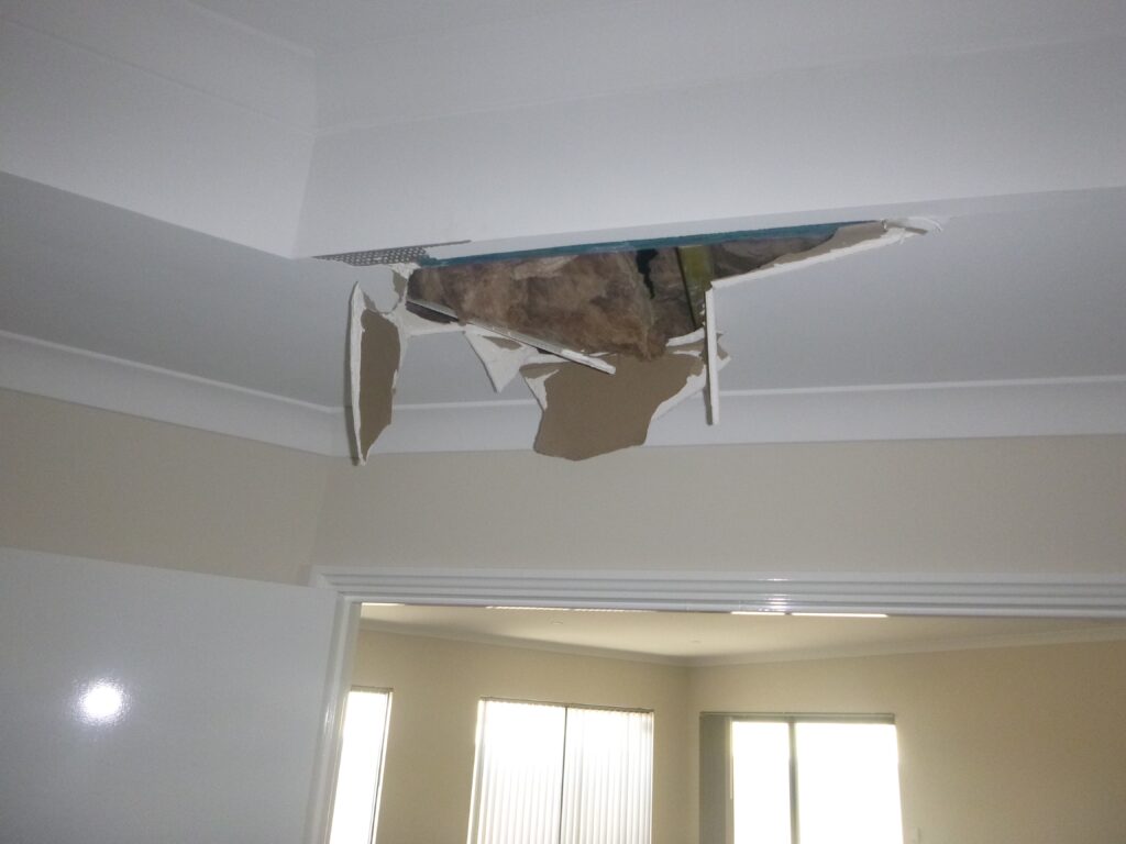 Perth's Trusted Ceiling Contractors